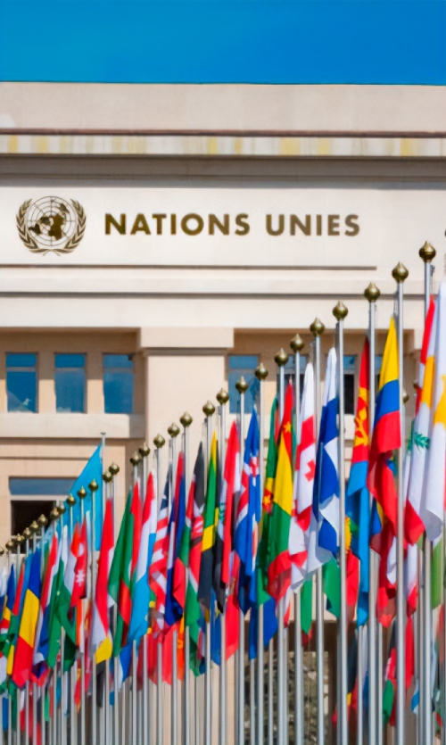 Naciones Unidas